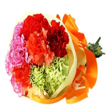 Colorful Carnations