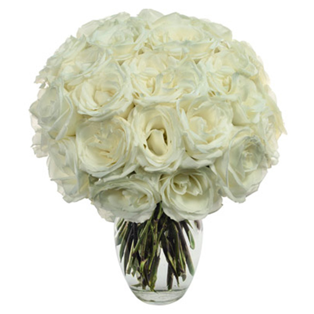 Two Dozen White Roses