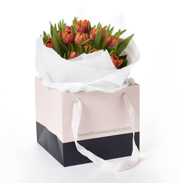 Red Flare Tulips