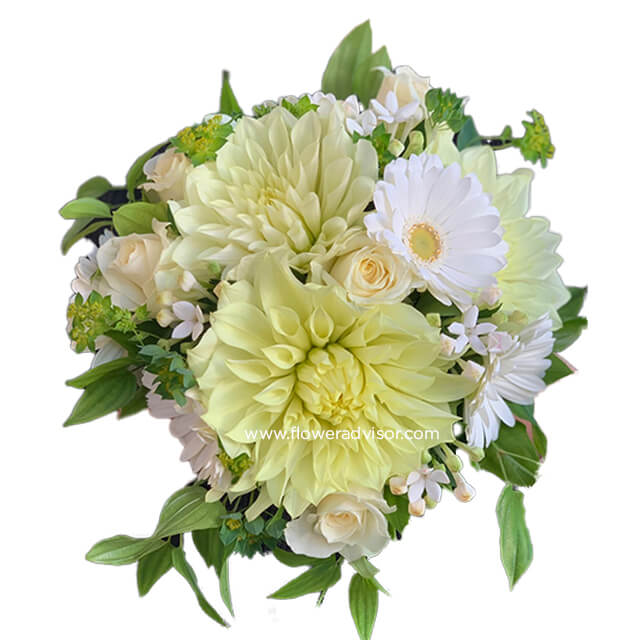 Fresh Dahlia Bouquet