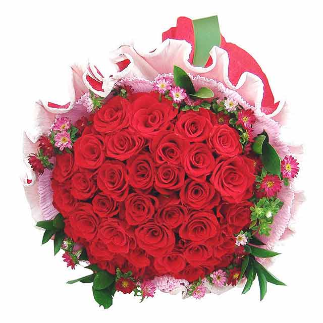 Balerina Red Roses