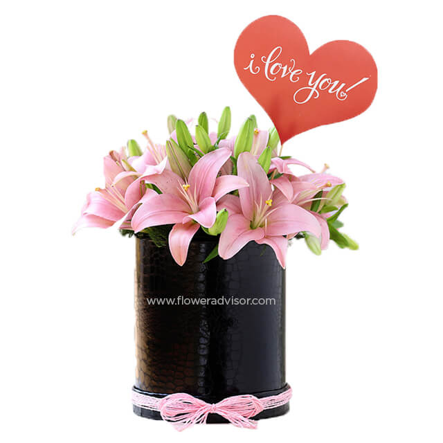 Asiatic Lilies