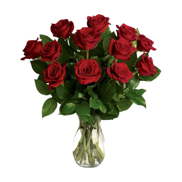 Classic Romance Red Roses - One Dozen