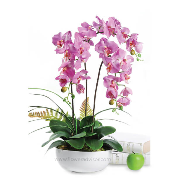 product-details