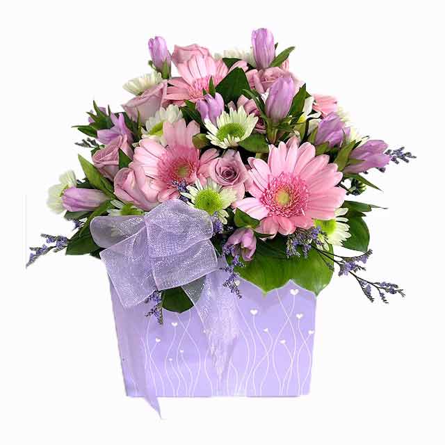 Pretty Lilac