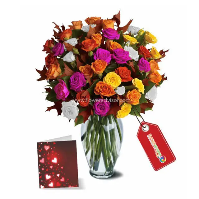 50 Blooms of Assorted Spray Roses