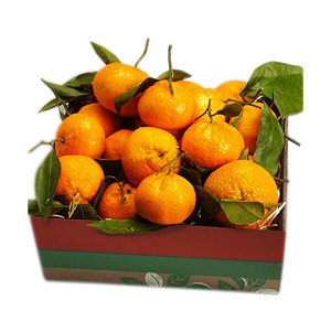 Orange Burst