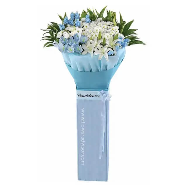 product-details