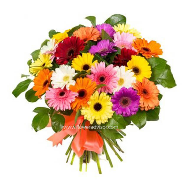 Joyous Colors
