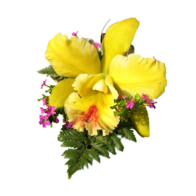 Yellow Grace