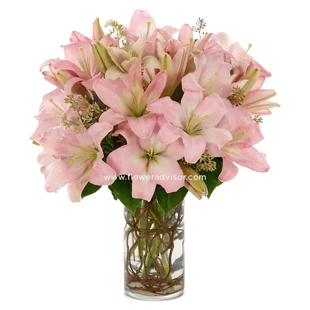 Pink Romance