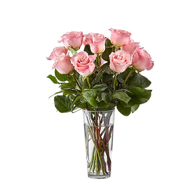 Long Stem Pink Roses 12