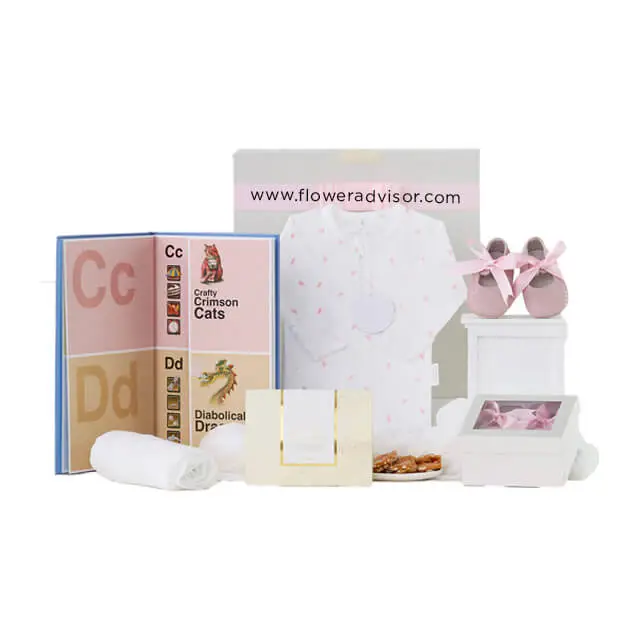 Babys First Shoes Hamper in Pink