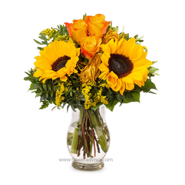 Vincent Arrangement