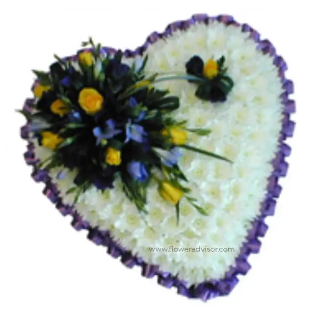 Purple Heart Tribute
