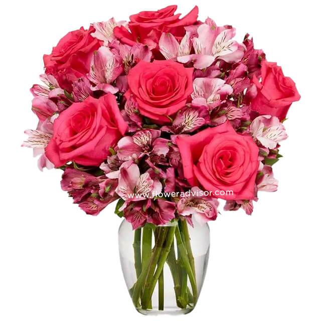Ma Chere Rose