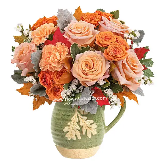 Sweater Weather & Soft Sunrises