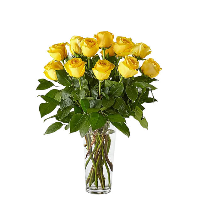Long Stem Yellow Rose Bouquet 12