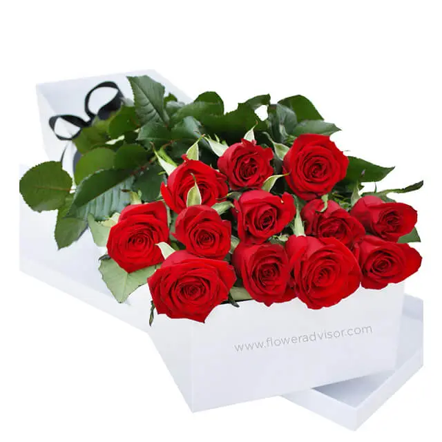 One Dozen Gift Boxed Red Roses