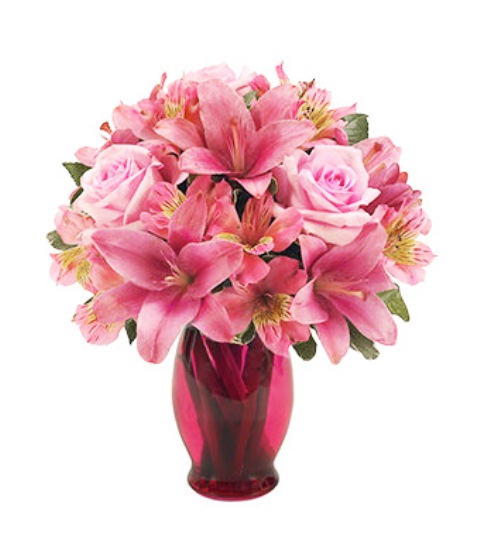 Bright and Beautiful 