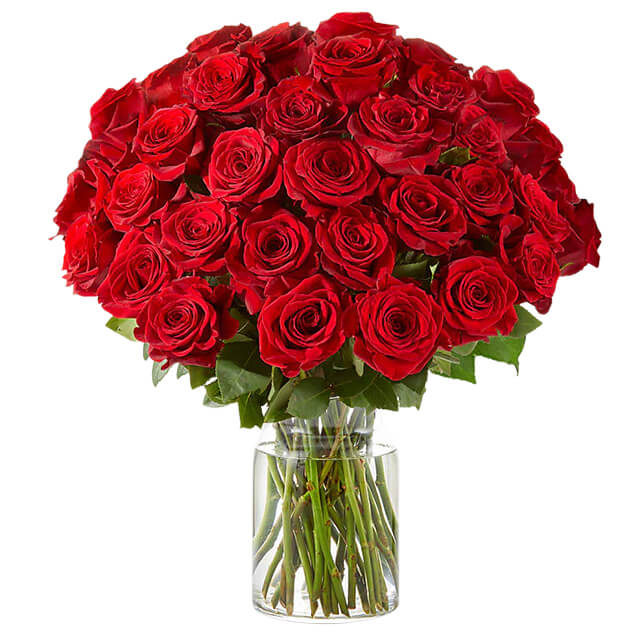 Three Dozen Long Stem Red Roses