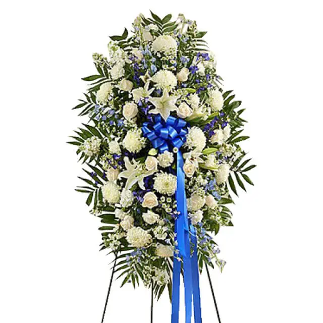 White & Blue Sympathy