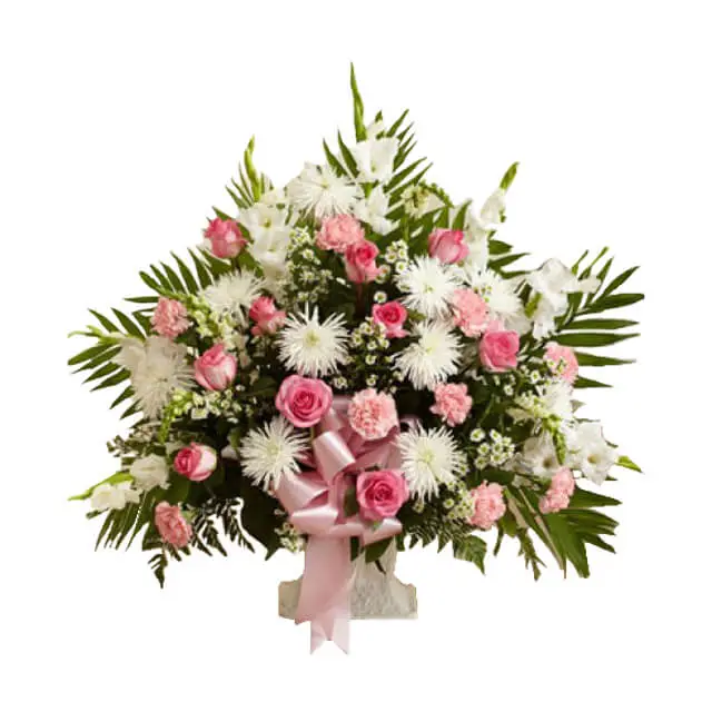 Tribute Pink&White