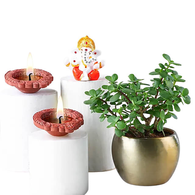 product-details