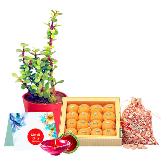 product-details