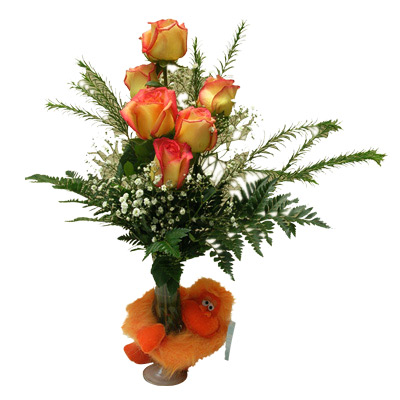 Orange Cheers