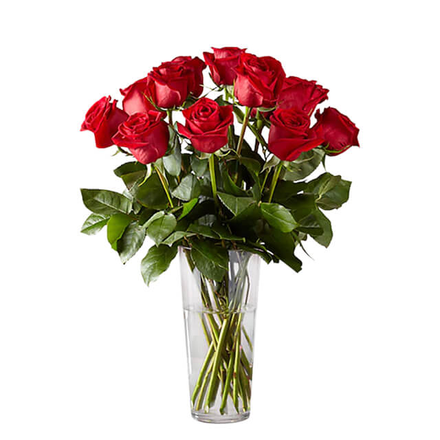 Long Stem Red Roses 12