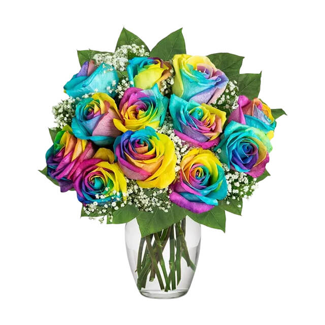 One Dozen Wild Rainbow Roses