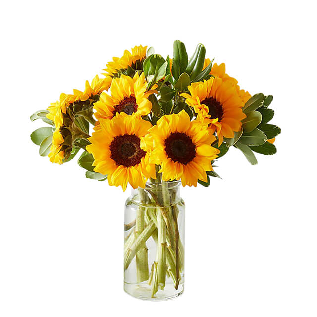 Honey Bee Sunflower Bouquet 10